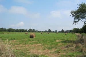 Rolling fields and hay bales just outside of New Shoreham, Block Island.