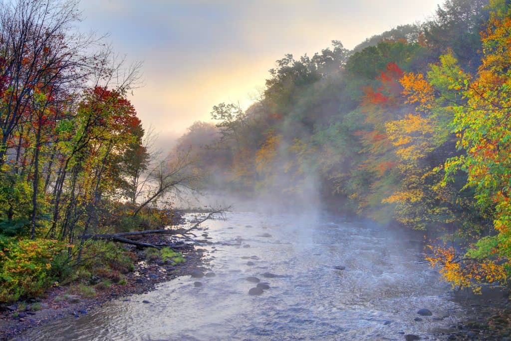 Rhode Island Day Trip to the Mohawk Trail in Massachusetts