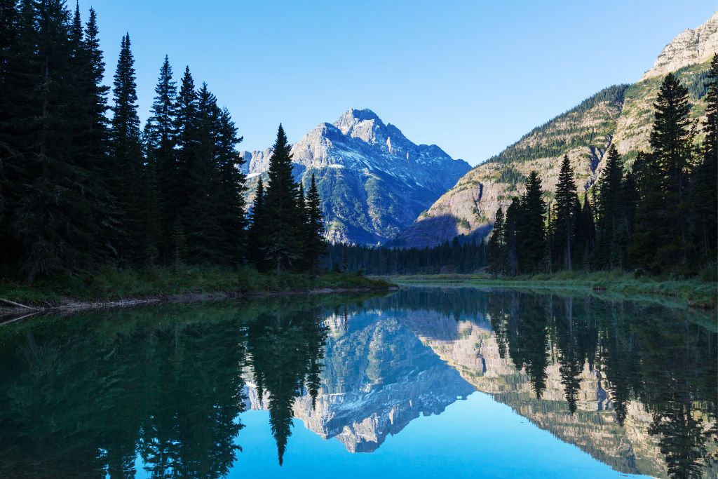 The vast land and water of Glacier Bay National Park is protected by the park service and the state of Alaska.