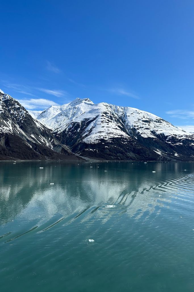 There are often icebergs dropped into the sea when they calve along the shoreline.