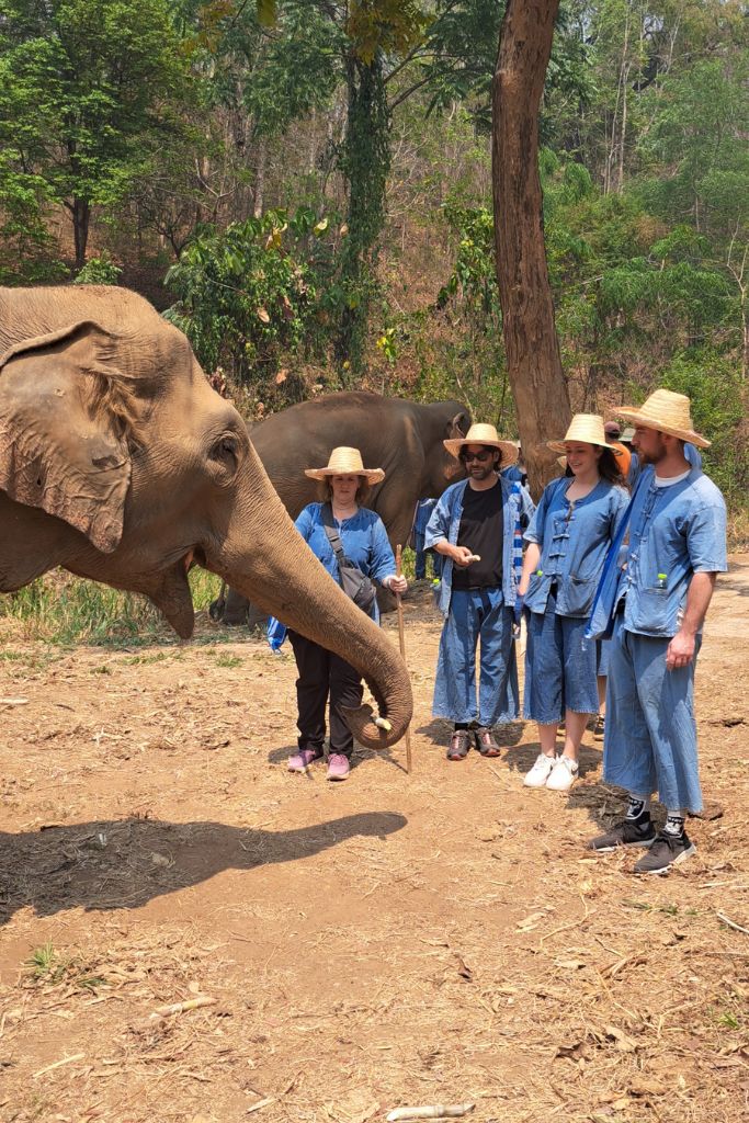 My group of tour mates at Smile Elephant Sanctuary in Chiang Mai