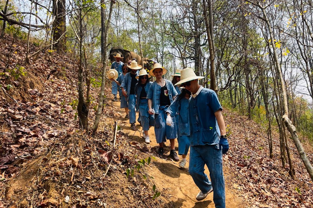 Hiking through the jungle path with the elephants at Smile Elephant Sanctuary in Chiang Mai