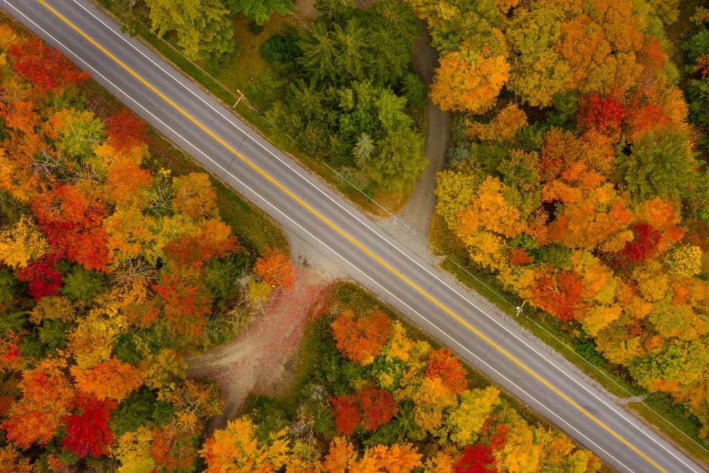 The roads around Aprils Maple are alight with Fall colors during the season.