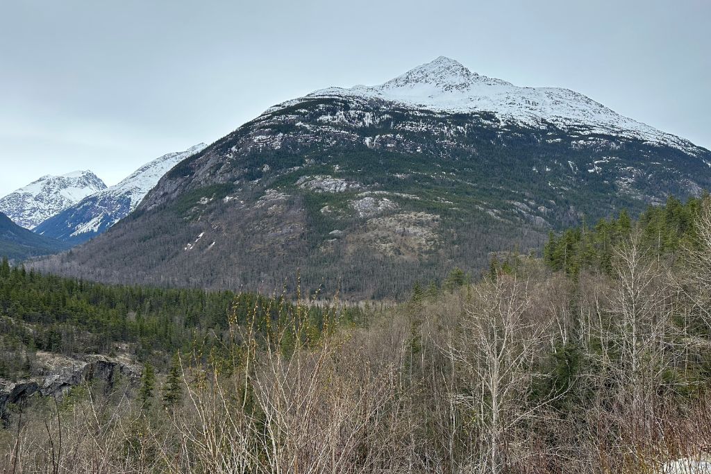 Hiking the trails through Alaska's forests is one of the things to do in Skagway from a cruise ship.