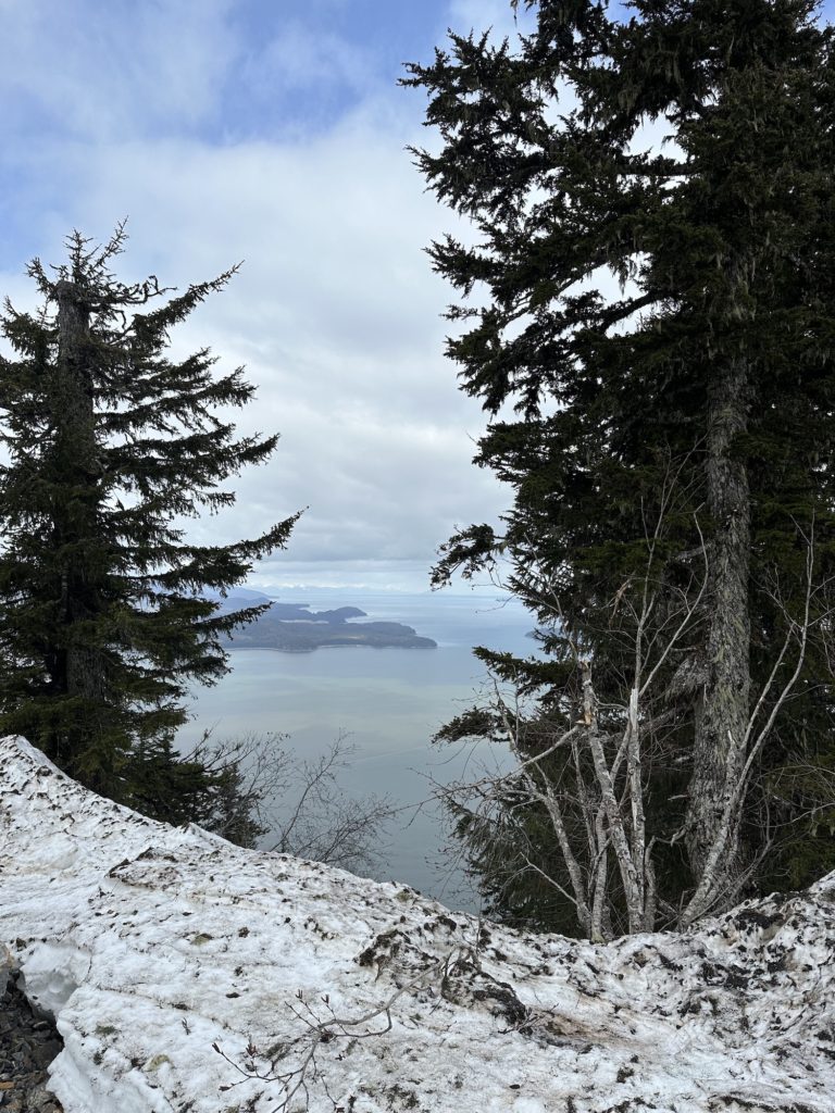 The stunning view from the top of the mountain of Icy Strait Point Alaska.