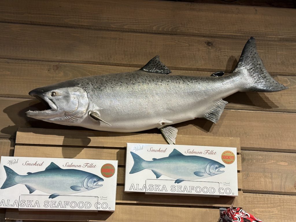 Salmon are plentiful around the area of Icy Strait Point and you can go on an excursion to try your luck catching them.