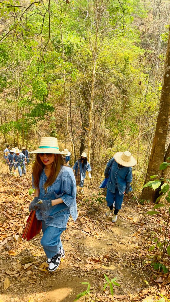 Hiking up the jungle path to walk the elephants at the Smile Elephant Sanctuary in Chiang Mai