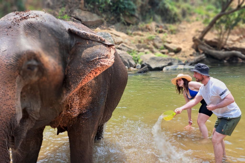 Washing and scrubbing the elephants at Smile Elephant Sanctuary in Chiang Mai