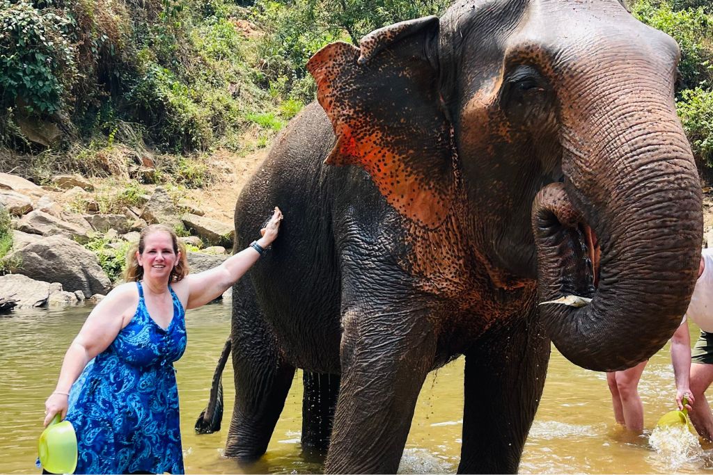 Scrubbing Boonsri in the river at Smile Elephant Sanctuary in Chiang Mai