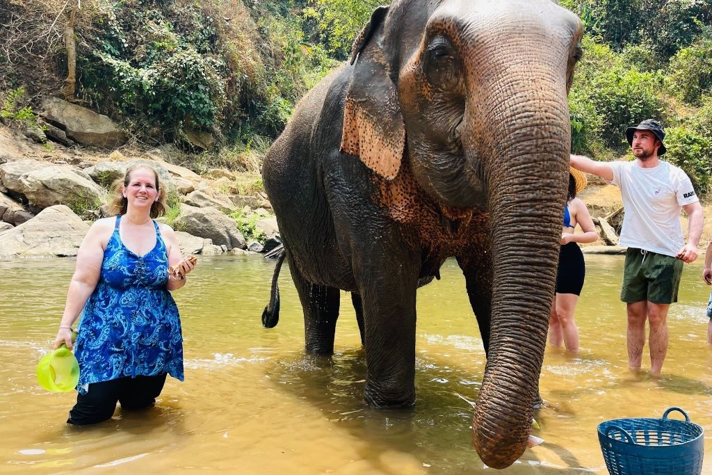 Make sure to visit Smile Elephant Sanctuary in Chiang Mai for an up-close experience with these wonderful beasts.