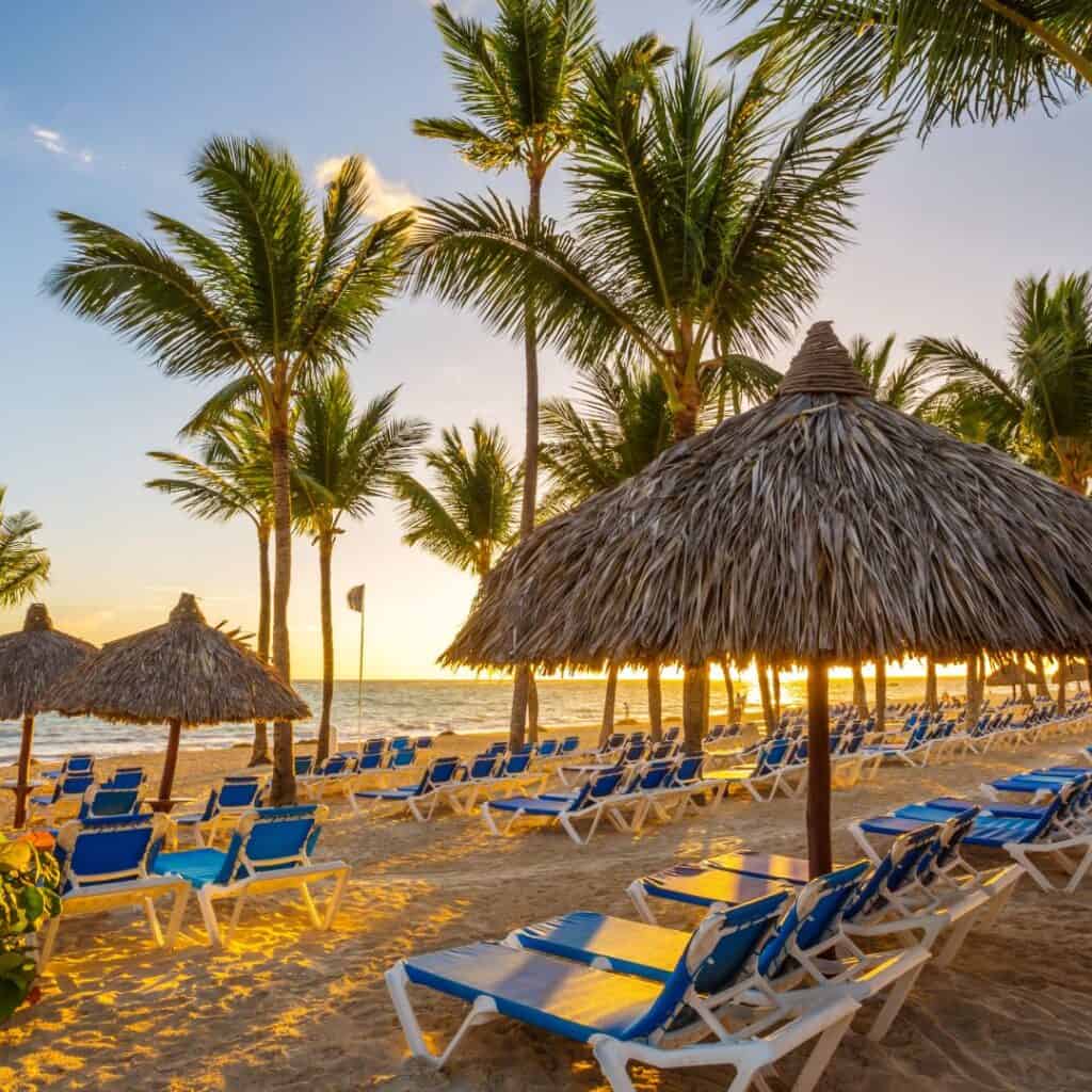 A calm empty beach with palm trees and several blue lounge chairs set up for visitors.