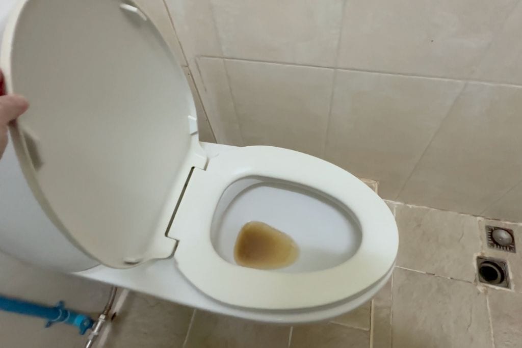 A dirty toilet in the Houayxay Guest House.