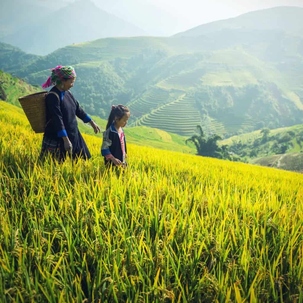 Green grasslands with a woman and child walking with a basket on their back.