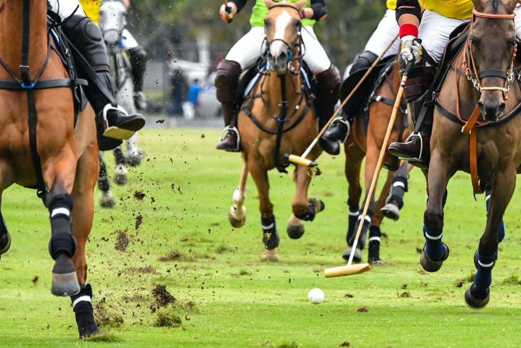 Polo horses racing down a green field with bits of dirt kicking up from behind their hooves.