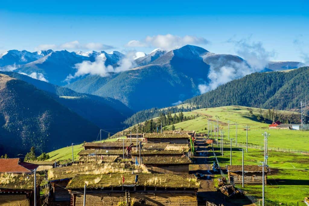 The snow covered mountains of Tibet with a green grassy plain in front of it.