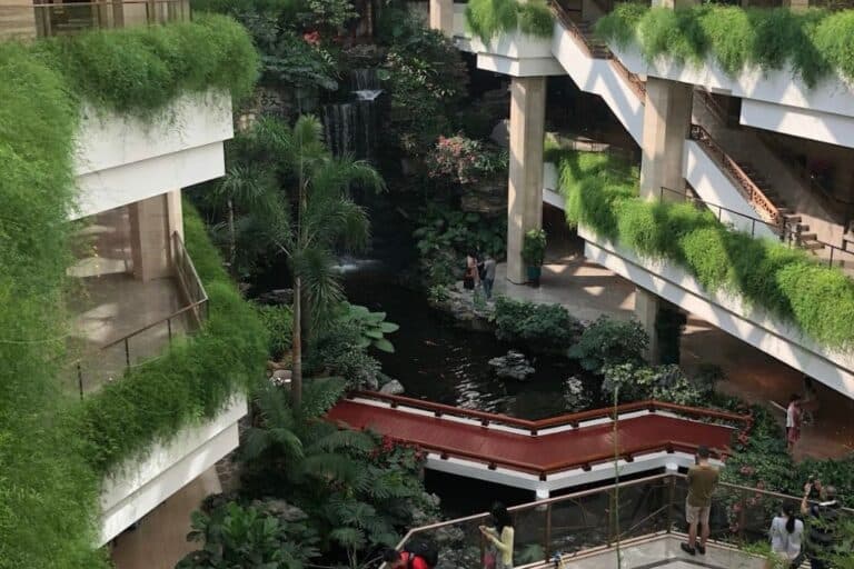 A greenery covered lobby of a beautiful old building in Guangzhou China.